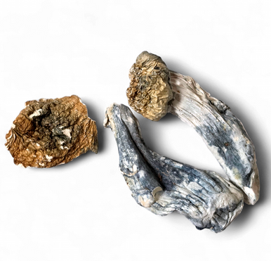 Hand-rolled THCA joints and prerolls from GreenRX™ HWY 12 Smoke Shop